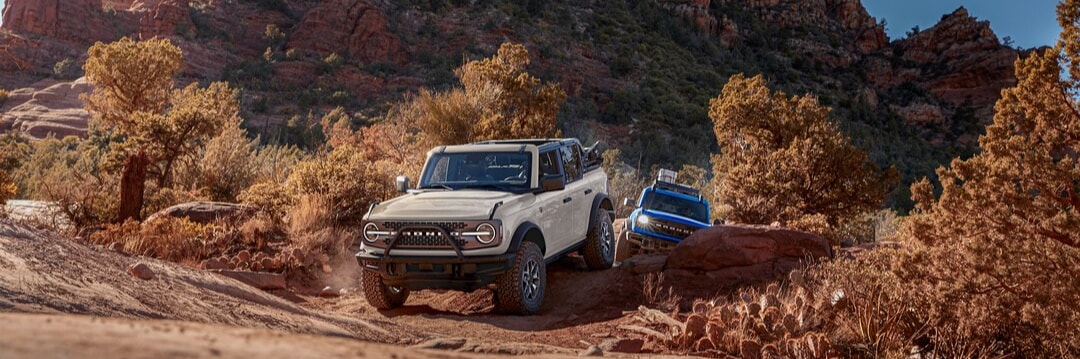 Ford SUVs