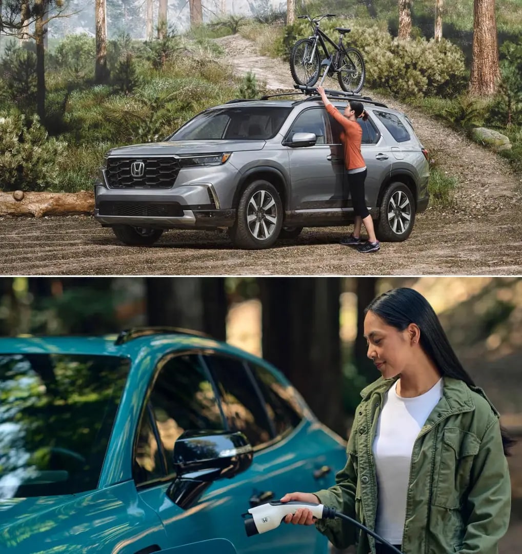Discover the New Honda Model Lineup