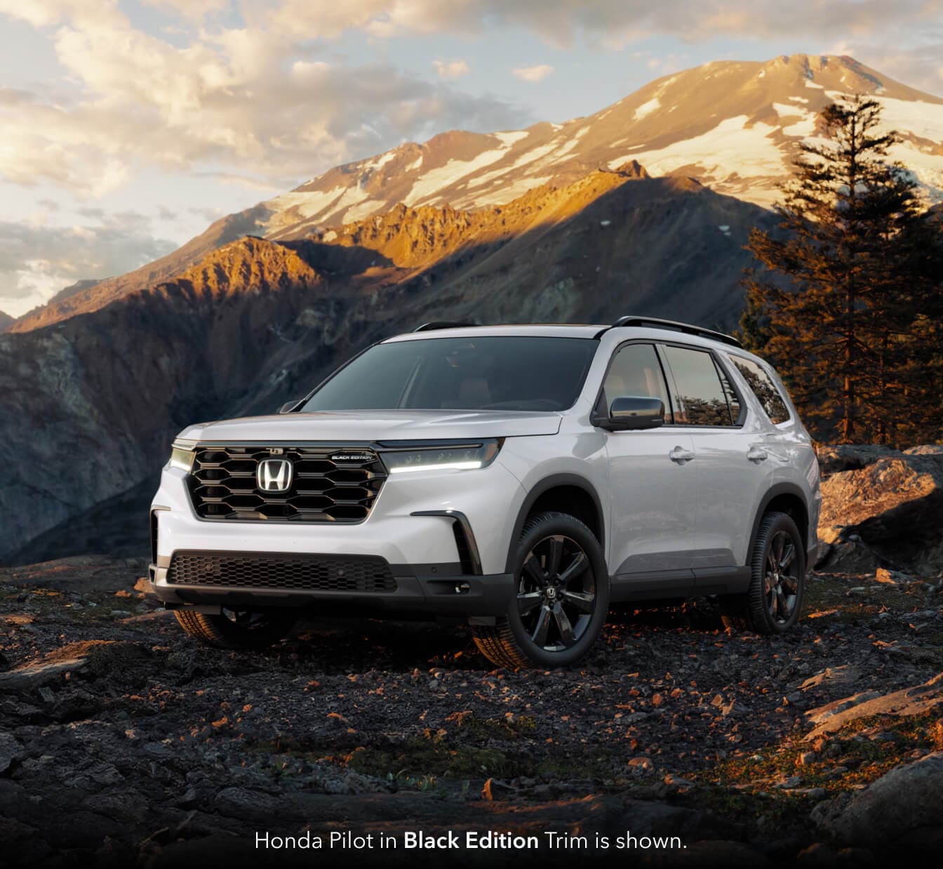 2025 Honda Pilot vs. 2025 Kia Telluride vs. 2025 Hyundai Palisade Price and Trim Levels