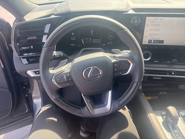 2025 Lexus RX 350 - Photo 10