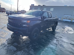 2020 Chevrolet Silverado 1500 Custom Trail Boss Truck Double Cab