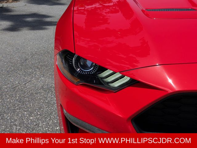 2021 Ford Mustang EcoBoost - Photo 9