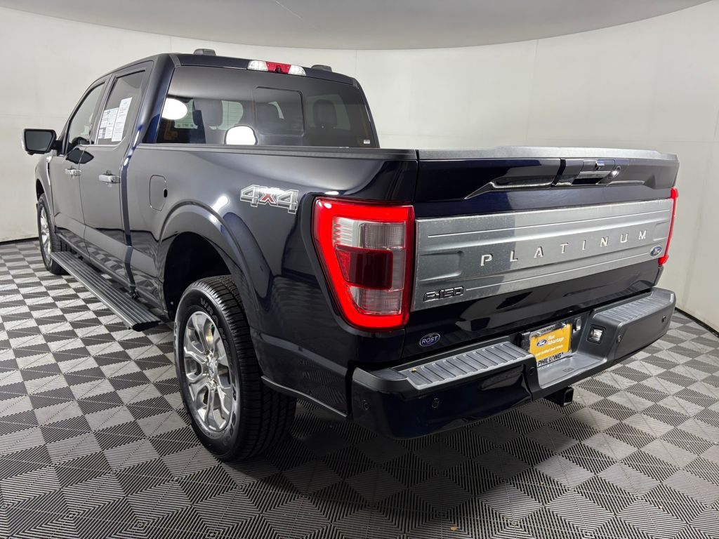 2021 Ford F-150 Platinum photo 3