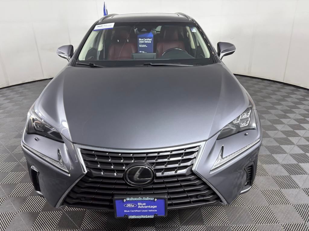 2018 Lexus NX 300 Luxury photo 2