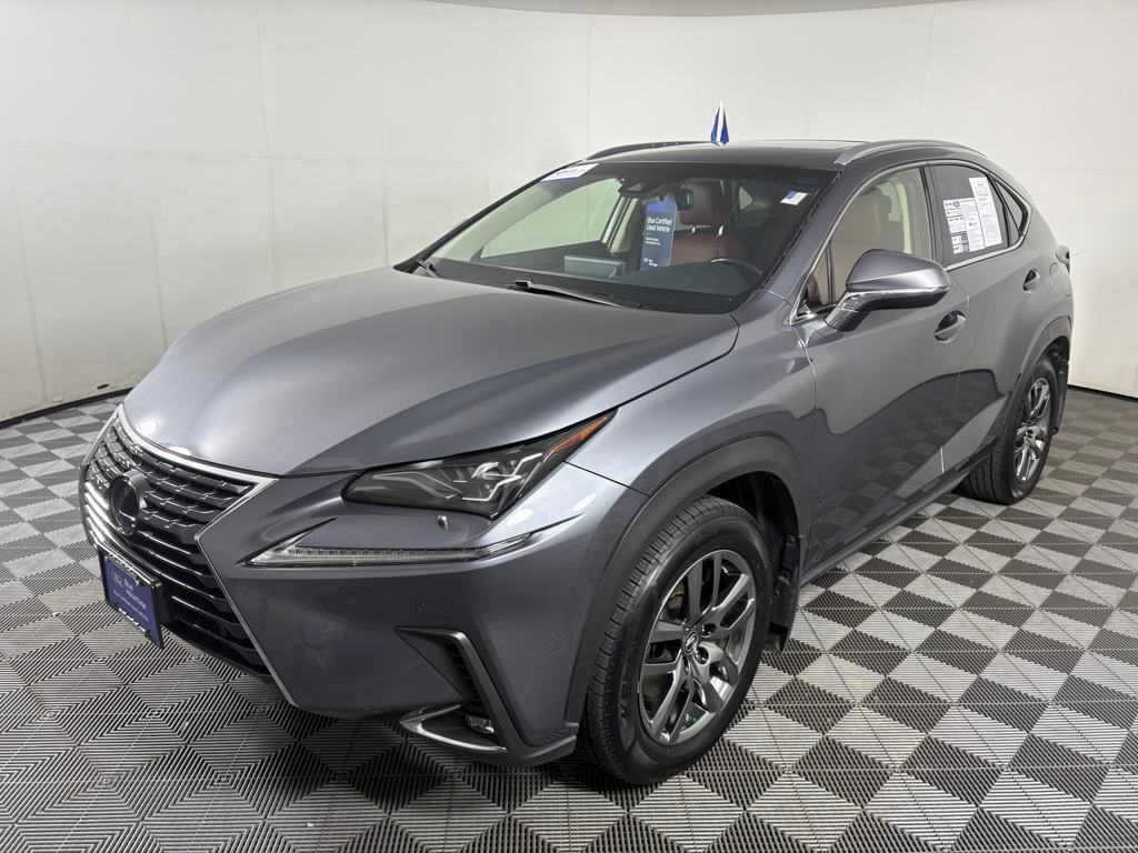 2018 Lexus NX 300 Luxury photo 3