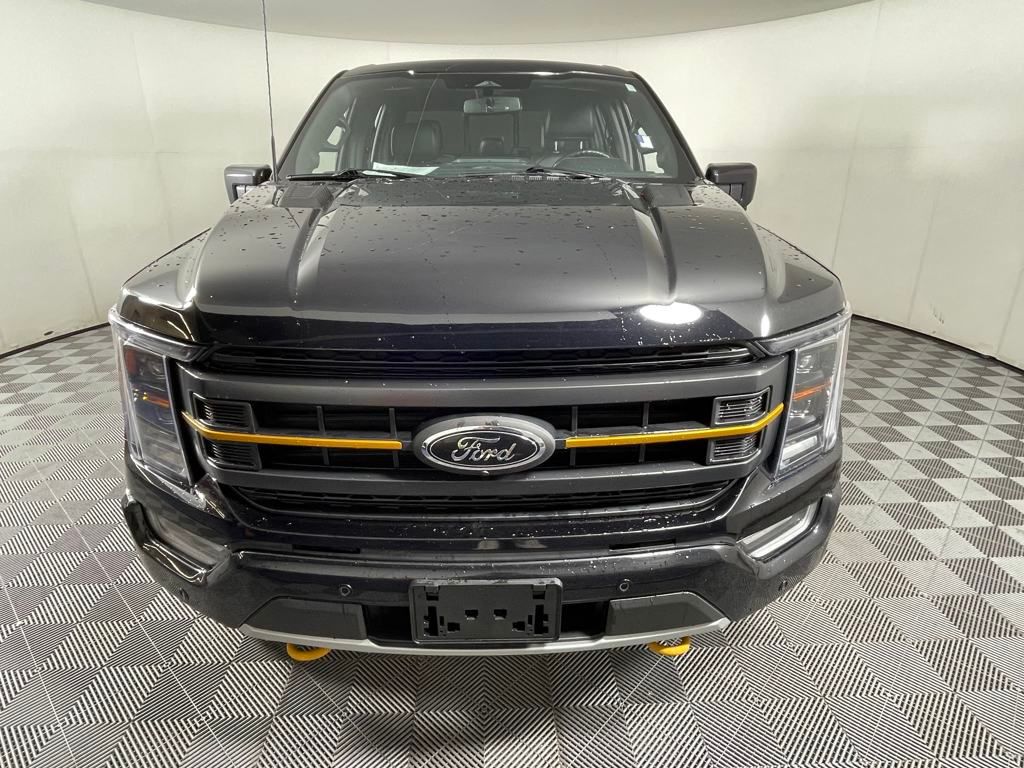 Used 2023 Ford F-150 Tremor with VIN 1FTEW1E80PFC91583 for sale in Colorado Springs, CO