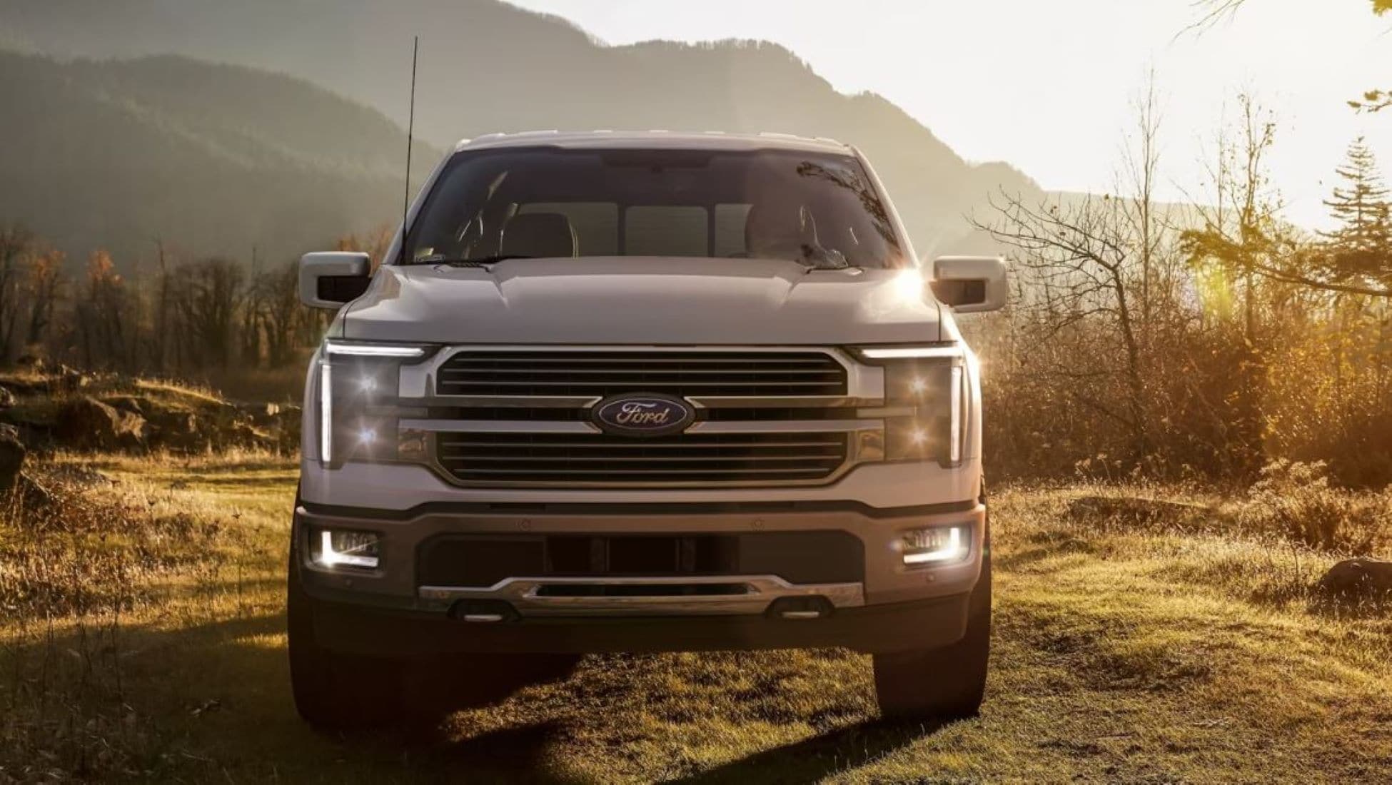 A front view of the Ford F-150