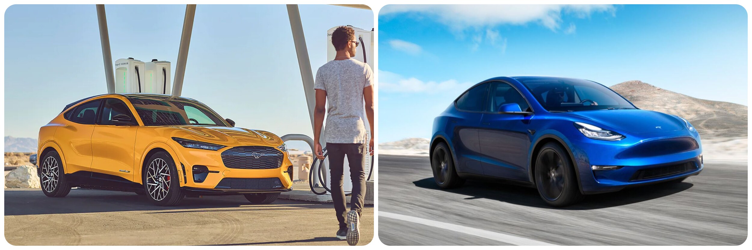 One the left is a side profile of the 2023 Mustang Mach-E, on the right is a side profile of the Tesla Model Y.
