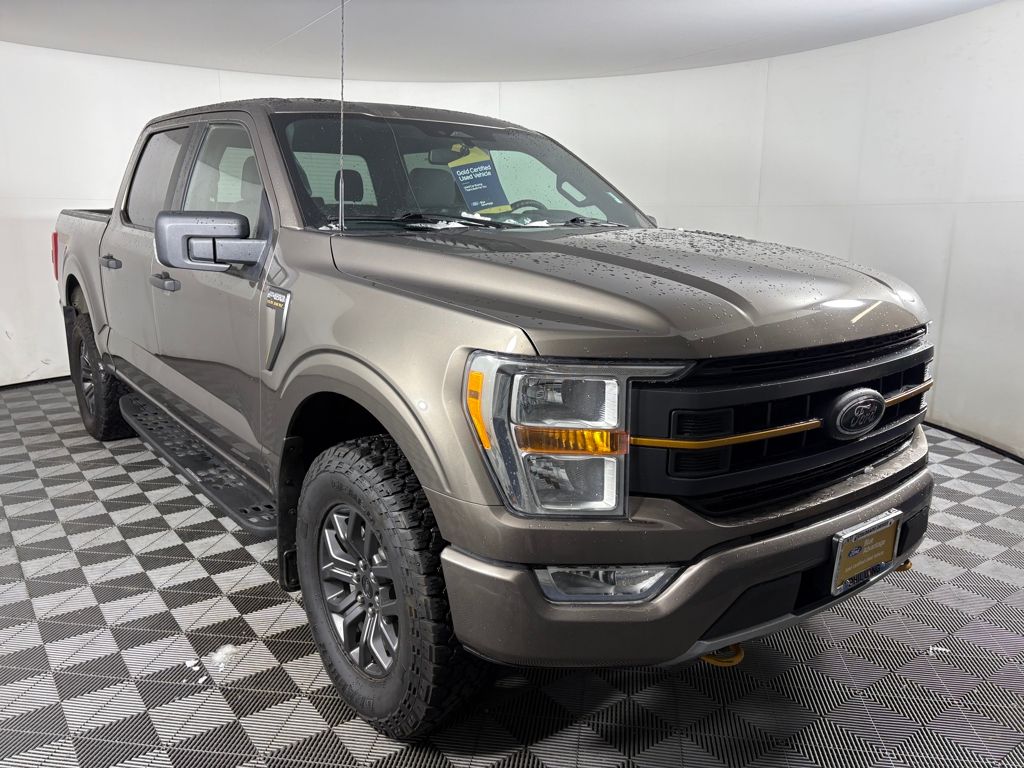 2022 Ford F-150 Tremor's photo