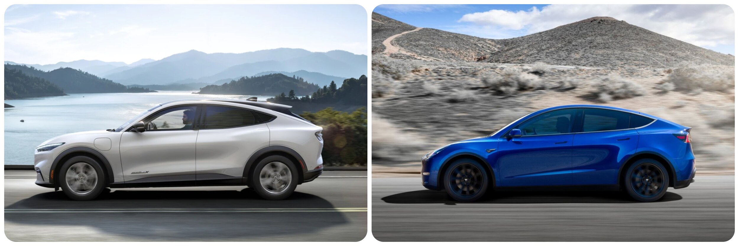On the left is a side profile of the Ford Mustang Mach-E, on the right is a side profile of the Tesla Model Y