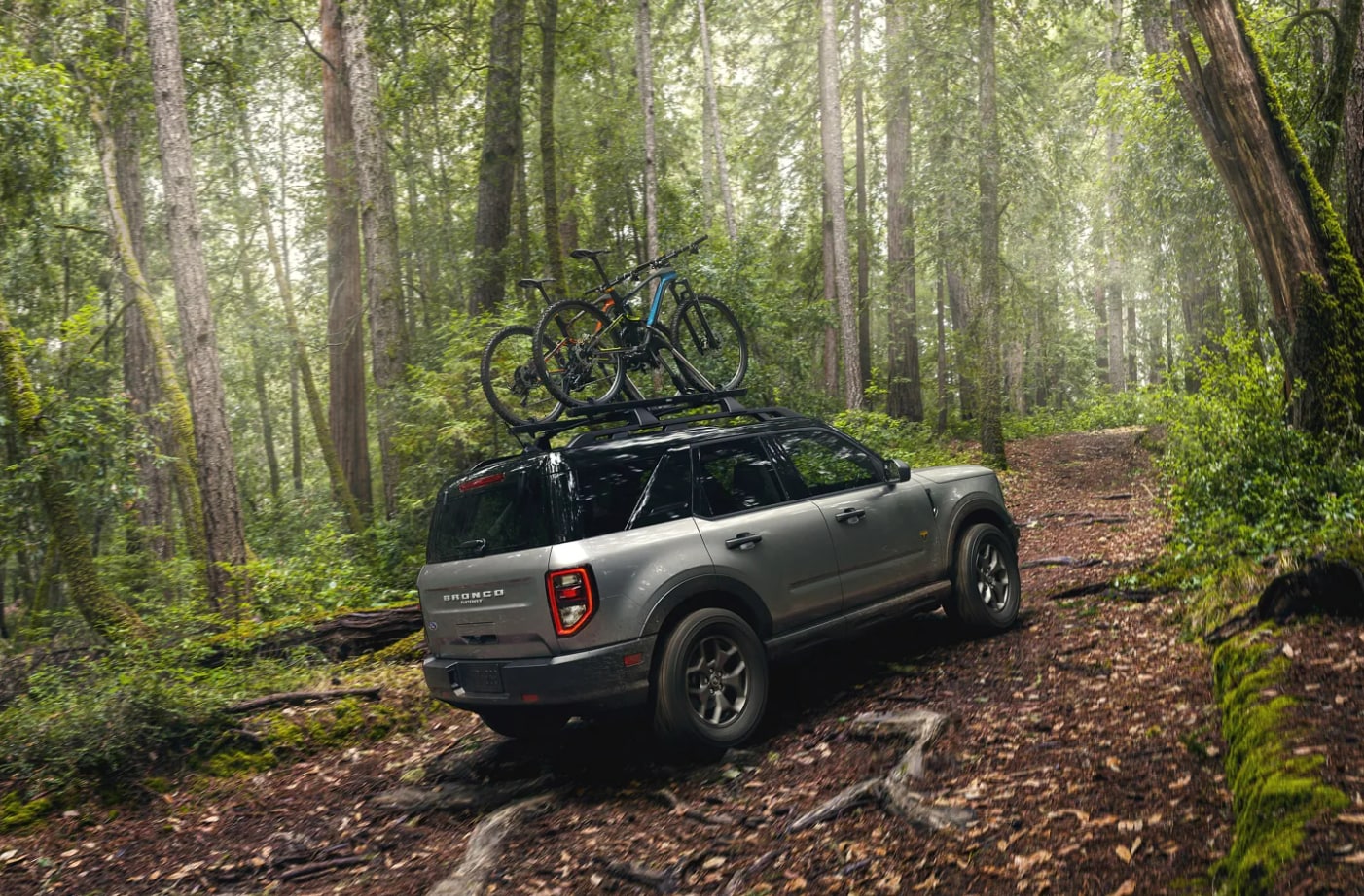 A silver 2023 Ford Bronco Sport with mountain bikes mounted to the roof navigates a forest trail