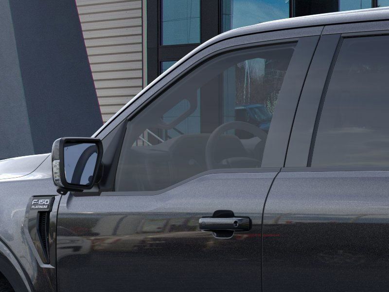 2025 Ford F-150 Platinum photo 3