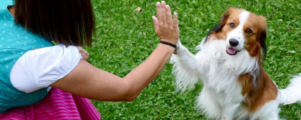 A young woman and her dog showing teamwork as they give each other high fives