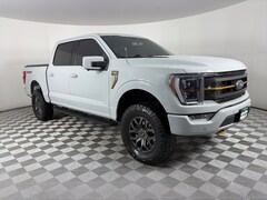 2023 Ford F-150 Tremor Truck