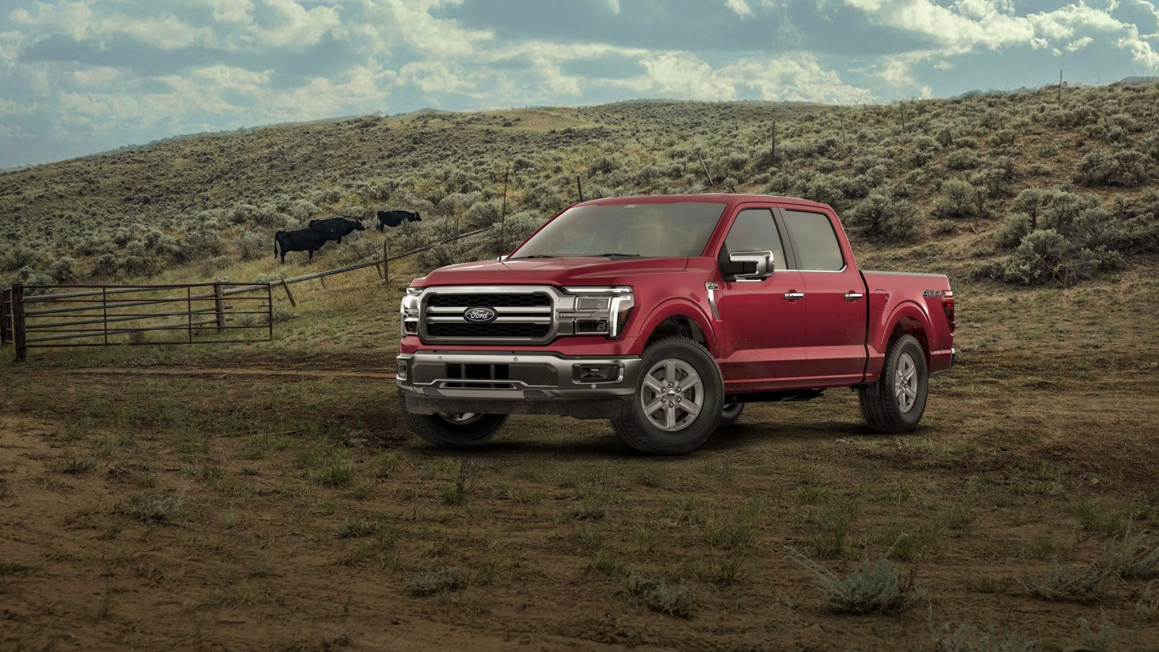 Visit Phil Long Ford of Denver to test drive a new Ford F-150