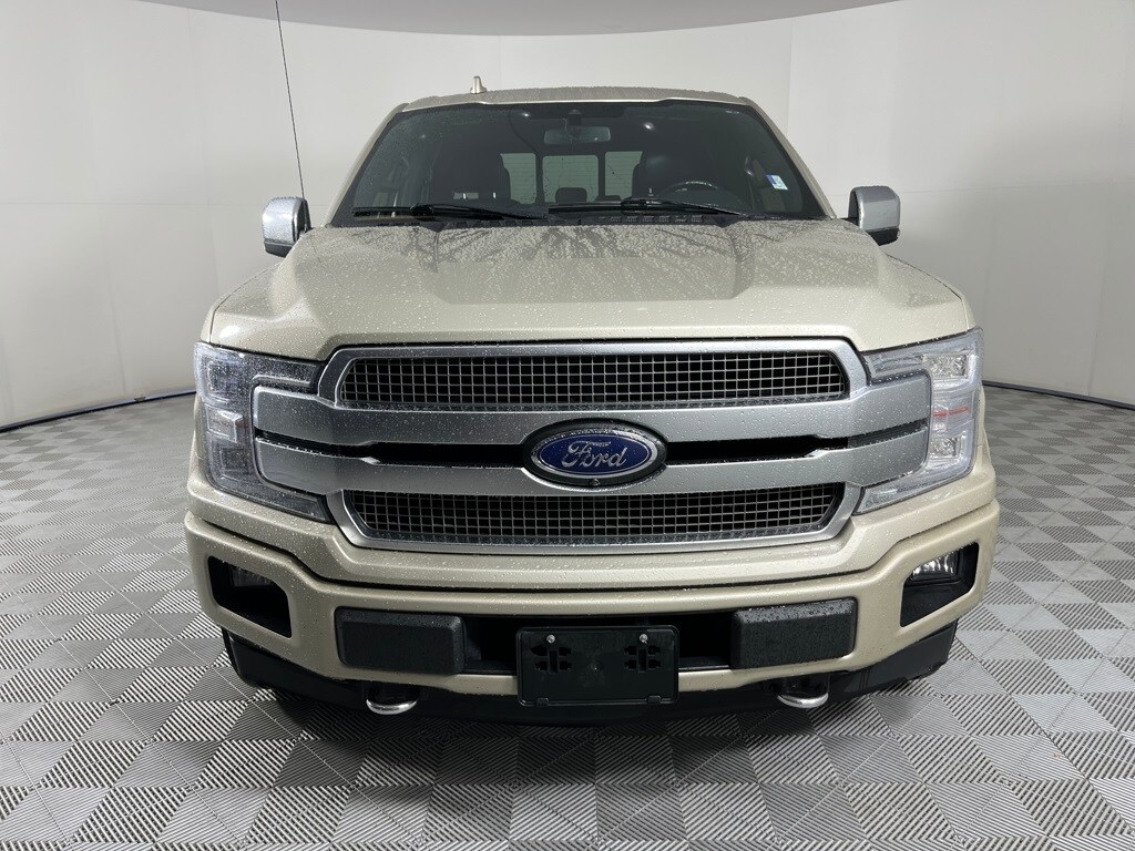 2018 Ford F-150 Platinum photo 2