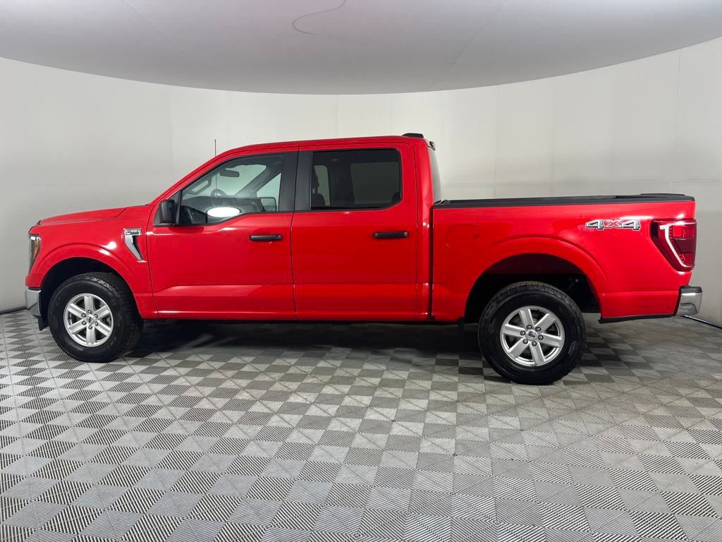 2023 Ford F-150 XLT photo 4