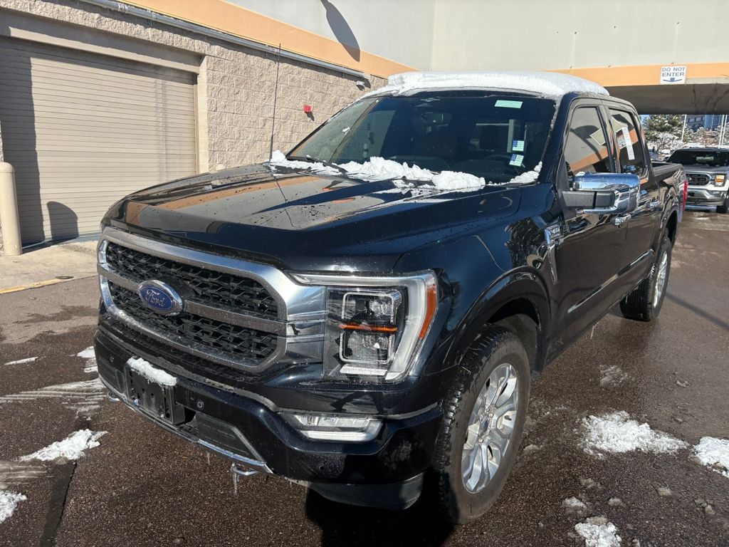 2023 Ford F-150 Platinum photo 2