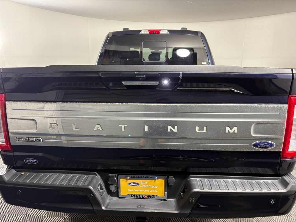 2021 Ford F-150 Platinum photo 4