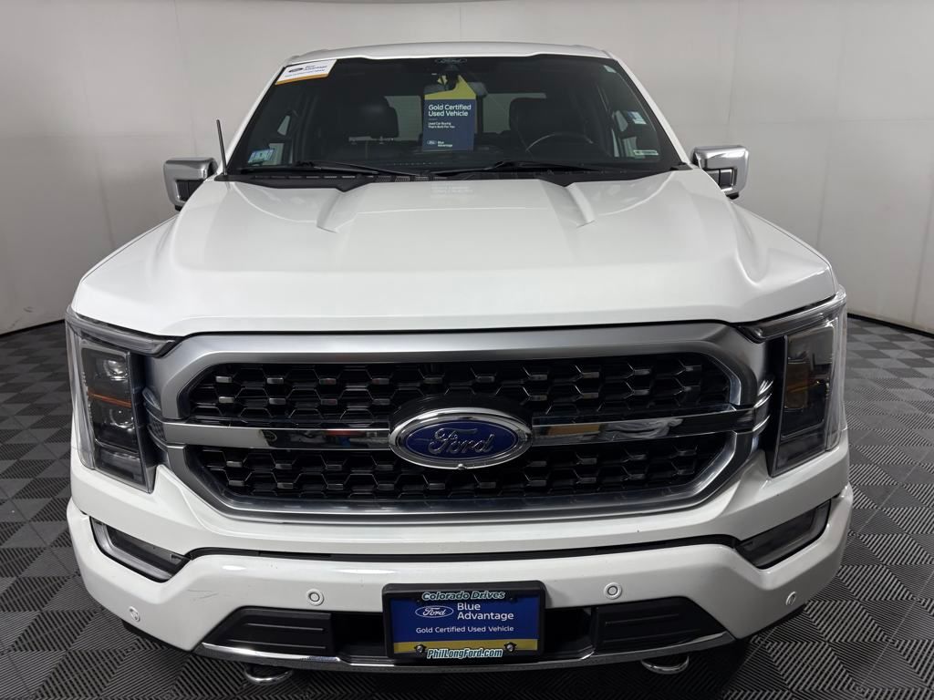 2021 Ford F-150 Platinum photo 2
