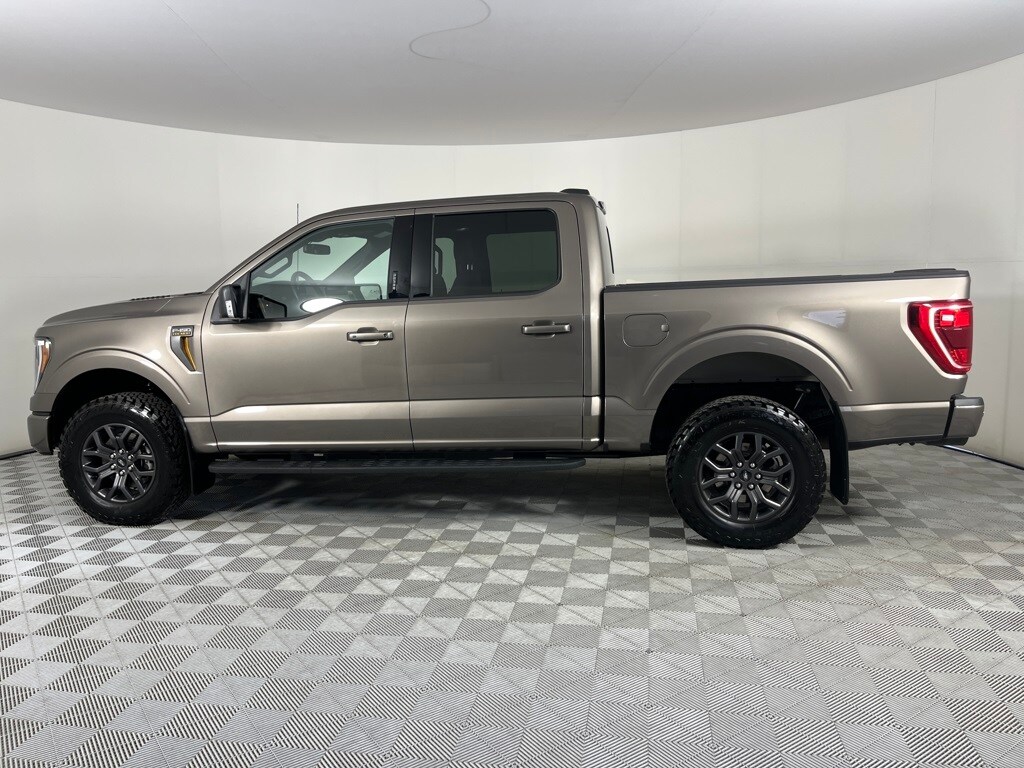 2023 Ford F-150 Tremor photo 4