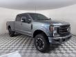 Used 2022 Ford F-250 Platinum Truck Crew Cab