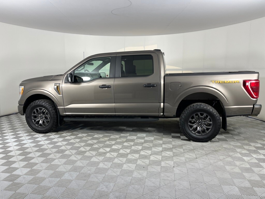 2022 Ford F-150 Tremor photo 3