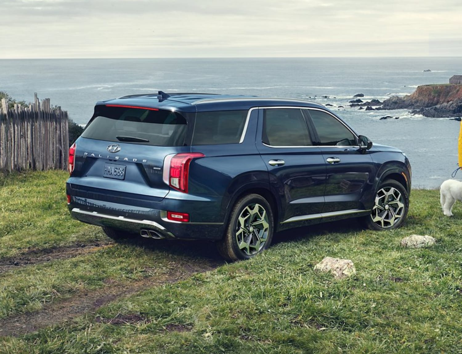 Rear exterior view of a 2021 Hyundai Palisade Calligraphy model parked on the edge of a cliff