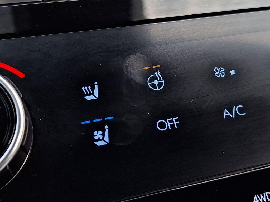2025 Hyundai Santa Fe Calligraphy - Photo 23