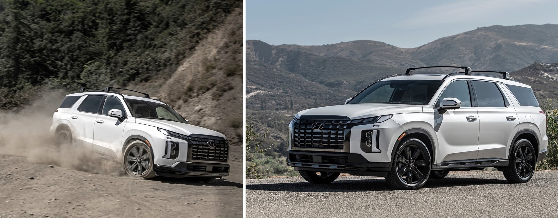 2025 Hyundai Palisade driving