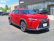 LEXUS UX 250h
