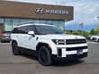 Hyundai Santa Fe Hybrid