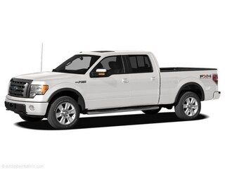 2010 Ford F-150's photo
