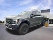 Used 2025 Ford F-150 Raptor Truck