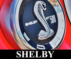 Ford Shelby gt500 logo