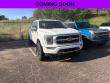 Certified 2021 Ford F-150 Platinum Truck