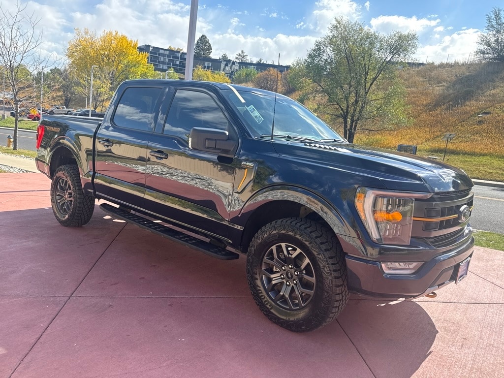 2022 Ford F-150 Tremor's photo