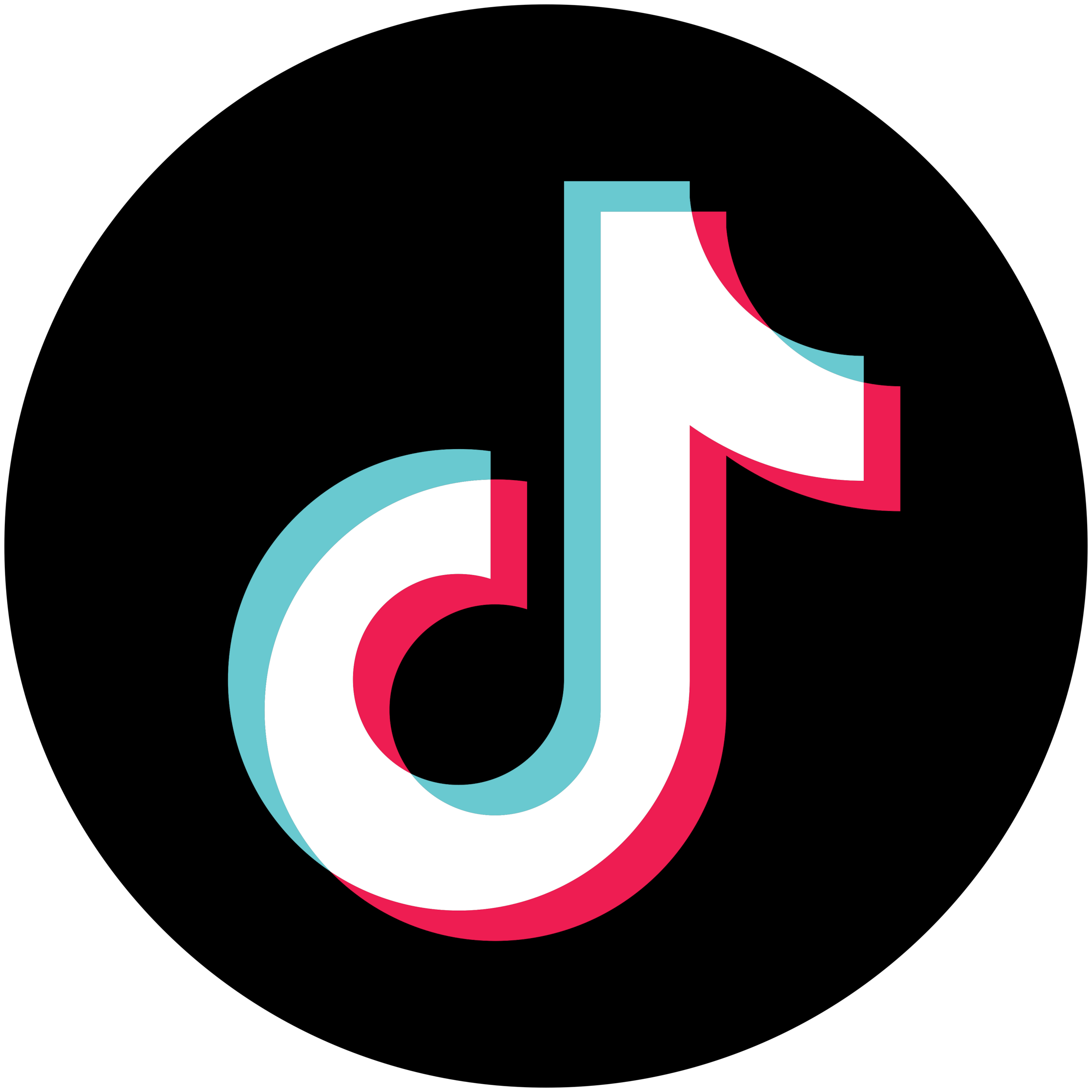 TikTok Logo