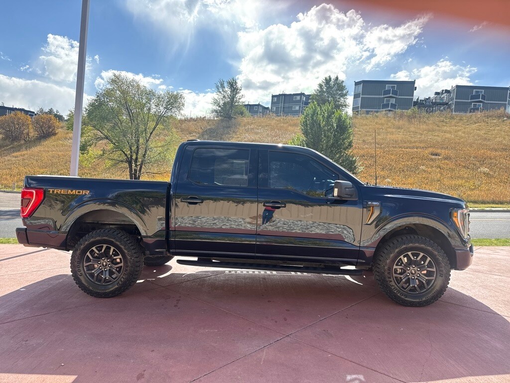 2022 Ford F-150 Tremor photo 3