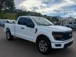 Used 2025 Ford F-150 STX Truck