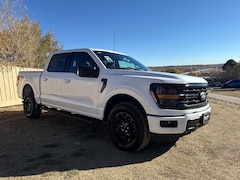 2025 Ford F-150 XLT Truck