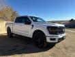 Used 2025 Ford F-150 XLT Truck