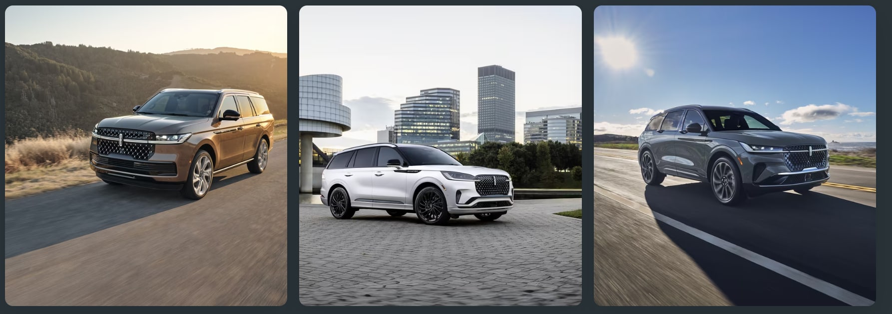Lincoln Black Label luxury model options