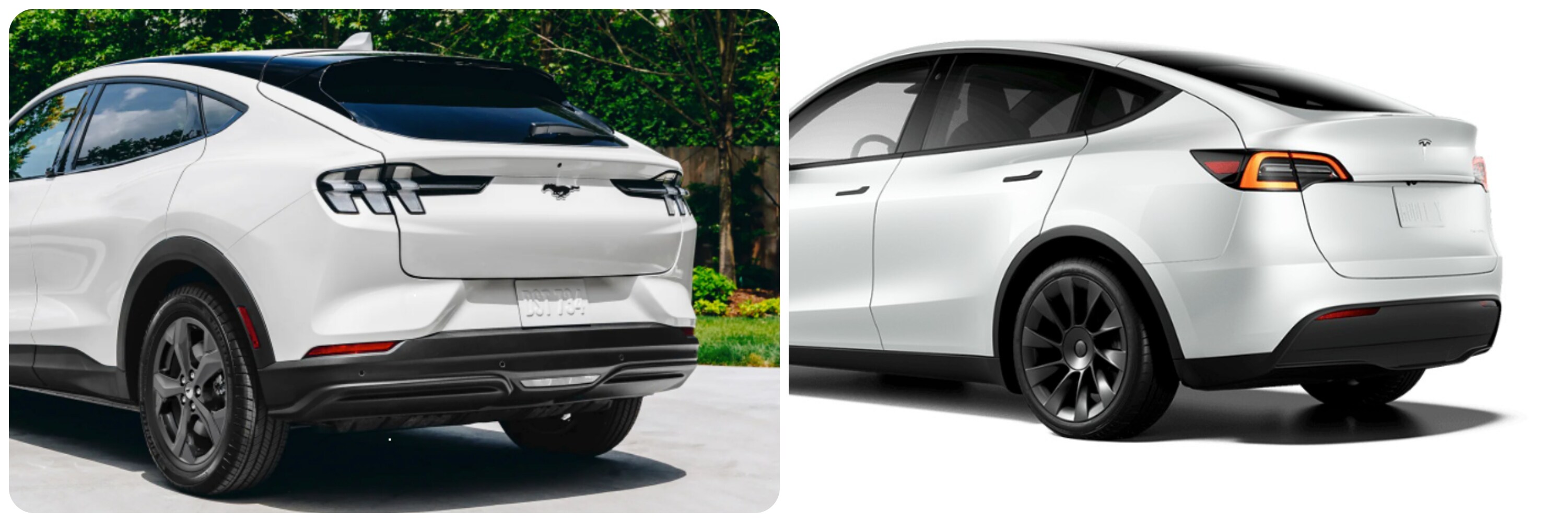 side-by-side-view-of-2022-ford-mustang-mach-e-and-tesla-model-y