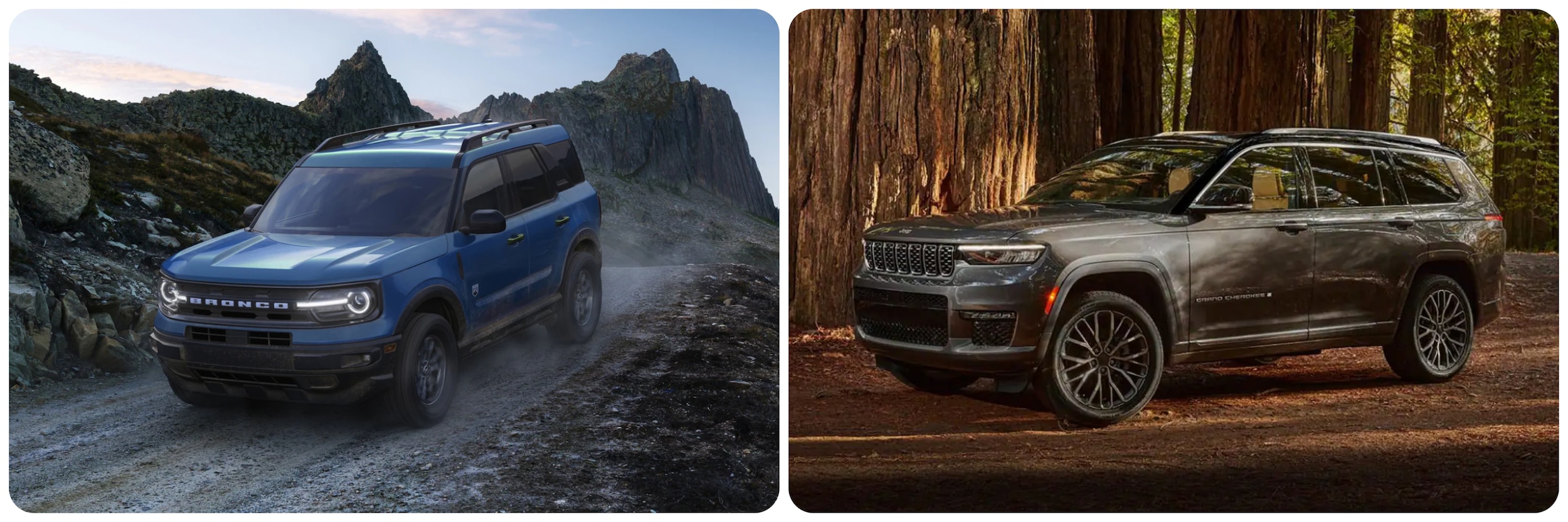On the left a primary blue Ford Bronco is driving down a dirt road on rocky terrain at dusk.  On the right a dark gray 2022 Jeep Grand Cherokee is parked in a redwood forest