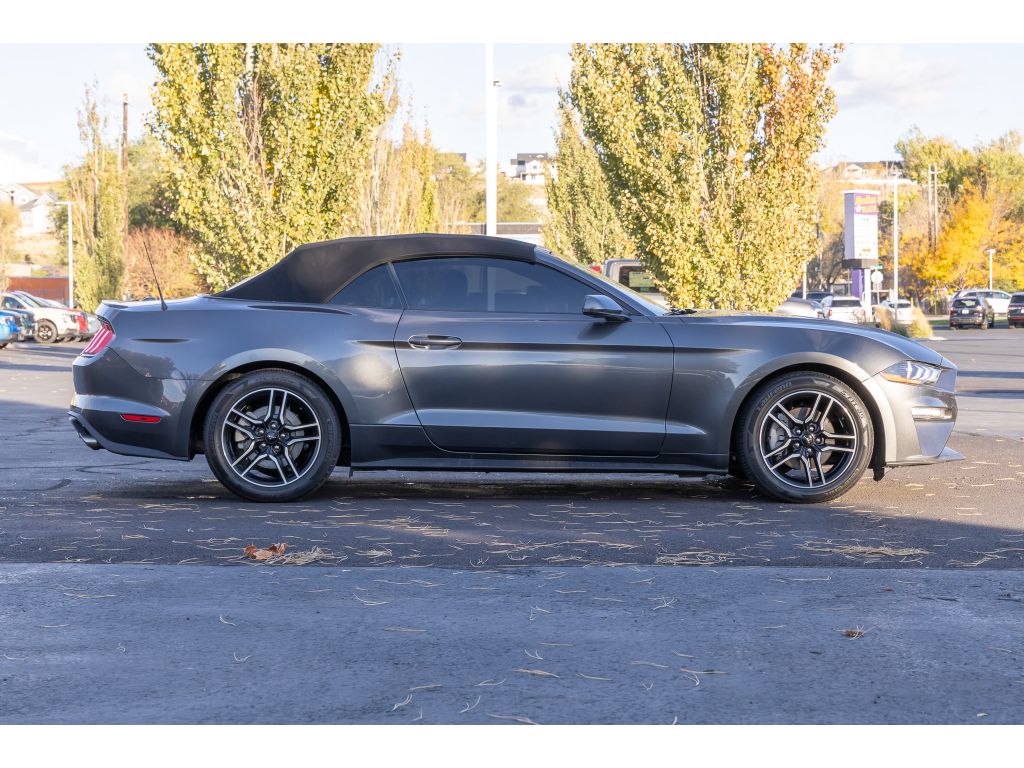 2020 Ford Mustang Convertible Premium photo 2