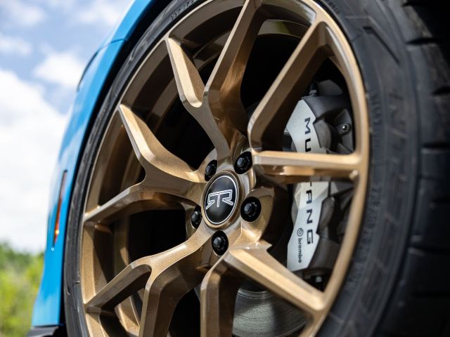 Bronze RTR Wheel with Brembo Brakes