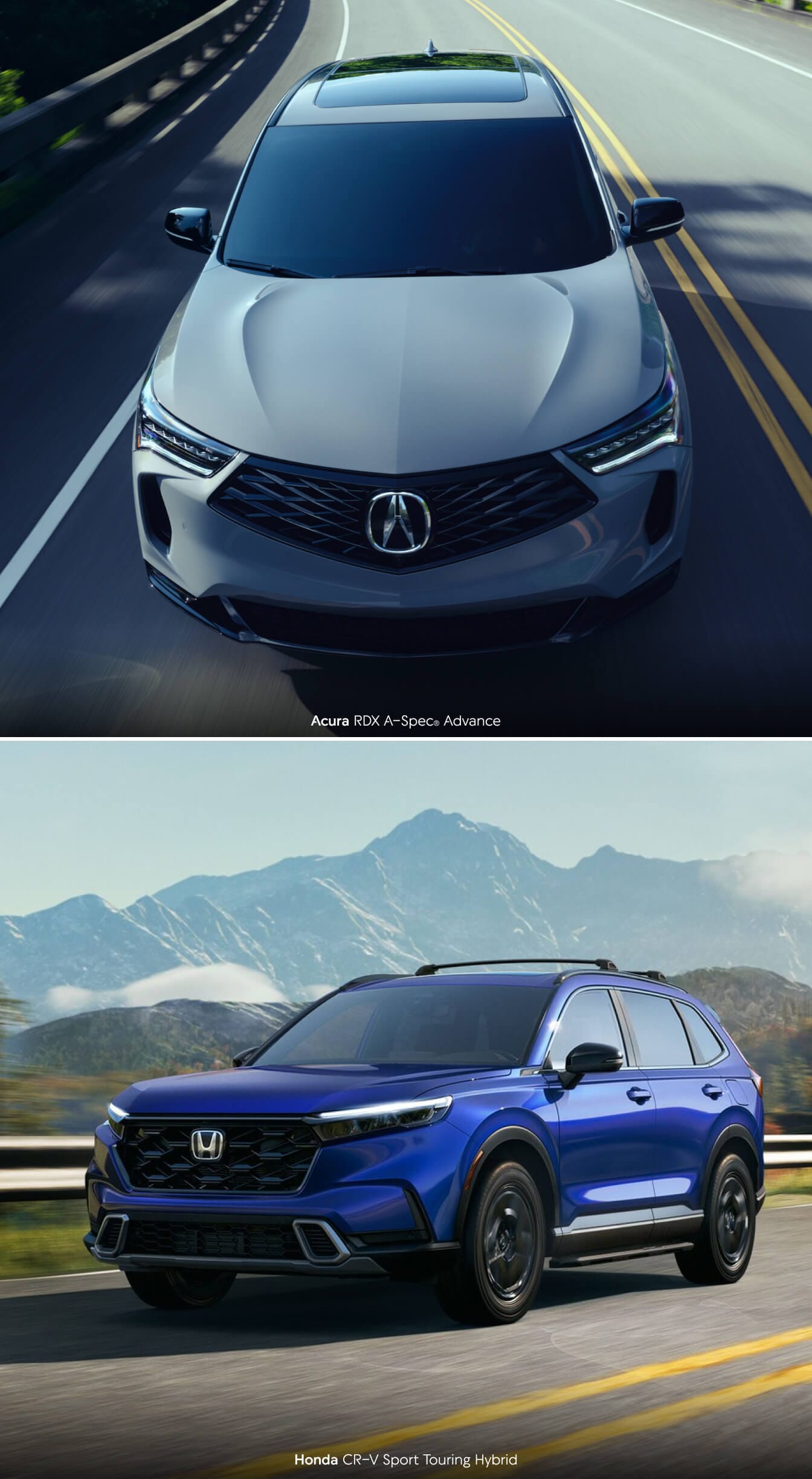 Honda vs. Acura: Which Vehicle Lineup Is the Best?