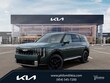  Kia Telluride Hybrid