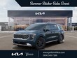  Kia Carnival Hybrid